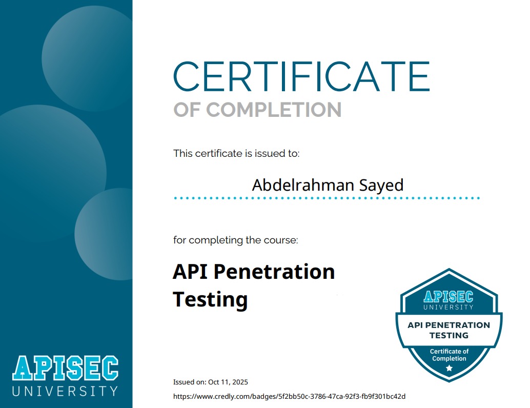 API Penetration Testing